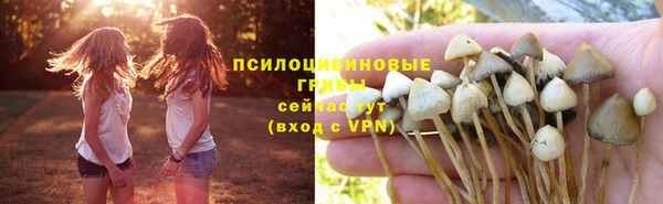 ешки Армянск
