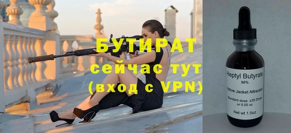 индика Аркадак