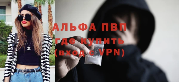 индика Аркадак