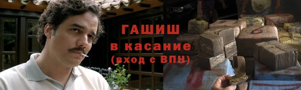 индика Аркадак