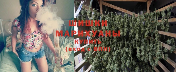 индика Аркадак