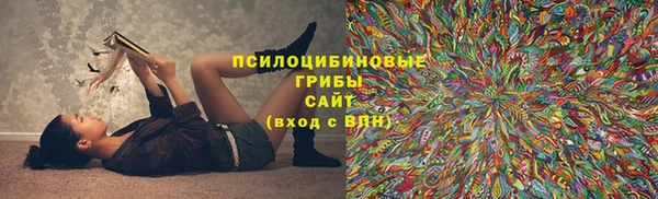 ешки Армянск